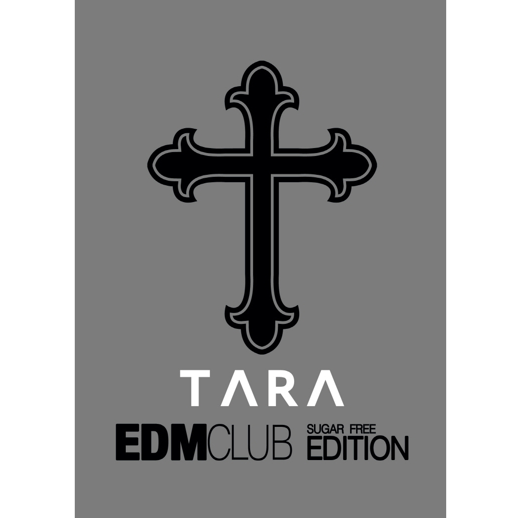 CHUCKIE_sugarfree (DJ Chuckie) KOR. by T-ARA